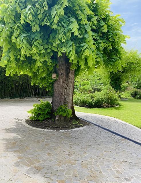 Domaine De Garat Bed & Breakfast Флоарак Екстериор снимка